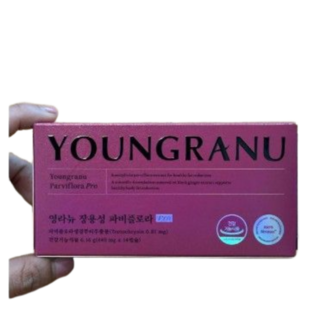 영라뉴 파비플로라 장용성 시트루맥스 시르투인 440mg 1박스 14정, 1개, 14회분