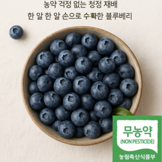 장수농산물 무농약 인증 생블루베리 [국내산 제주], 100g, 1개