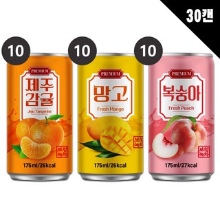 다인 서편제