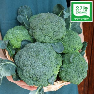 국내산 친환경 햇 유기농 브로콜리 브로코리 브로컬리 반찬 건강식, 1kg, 1개