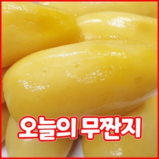 건영푸드 무짠지 국내산 1kg 오독오독 칼칼한 밥도둑 짠지무침 누구나 좋아하는 이 맛 으로 사랑 받는 식품 무짠지 1kg내외, 1개