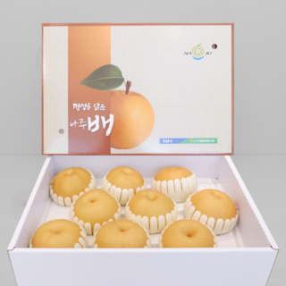 프리미엄 고당도 햇배 신고배 선물용배 나주 배, 1개