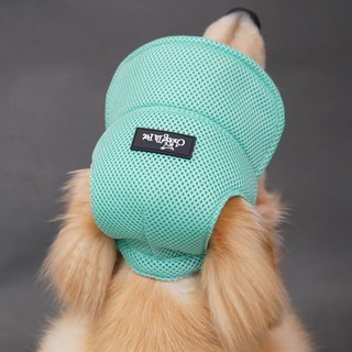 중형견 강아지 썬캡 여름 요크셔 비니 고양이 10 짚색 보호용 뭉미샵 치와와