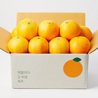 깨비농원 제주 황금향, 1개, 2.5kg 중과(8-18과)