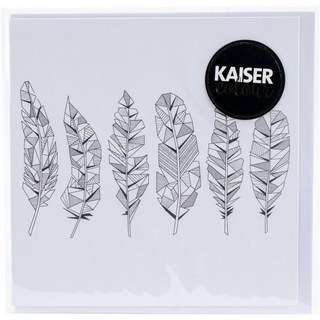 카이저크래프트 깃털 카이저컬러 기프트 카드 봉투 6인치 x