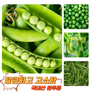 [굿피플] 완두콩 국산완두콩 완두 콩 국산완두콩 햇완두콩 통조림콩 [완두콩], 1박스, 1kg