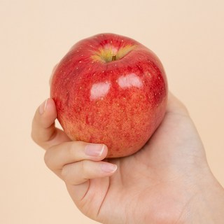 새코롬 꿀 홍로사과 안동사과 2.5kg 제품 썸네일