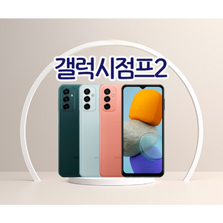 갤럭시 버디2