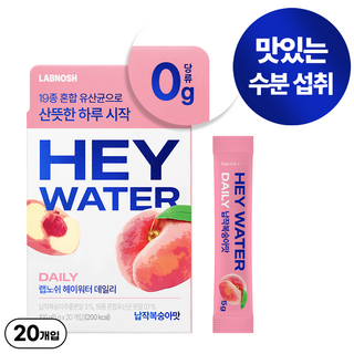 랩노쉬 헤이워터 데일리