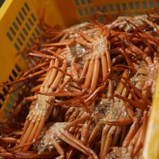 [선주직송] 구룡포 연지홍게 당일조업 홍게찜 수율80%이상 프리미엄, 1박스, 프리미엄 5kg