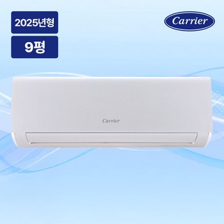 1. 2025년 캐리..
