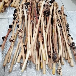 연수목지팡이 명아주지팡이 지팡이 어르신 의료용 동백나무 헬스망치 손지팡이 등마사지, 동백나무 망치 라지, 1개