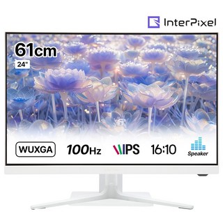 인터픽셀 IP2418 모니터