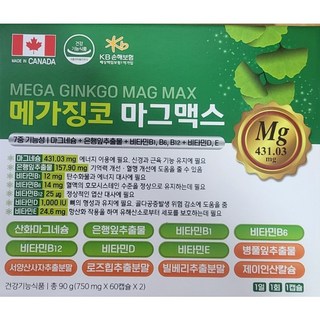 메가징코 마그맥스 마그네슘 영양제 4개월분 미국산, 1박스, 120정