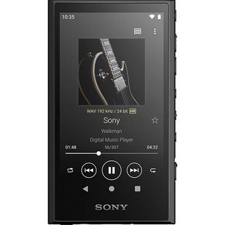 소니 워크맨 NW-A306