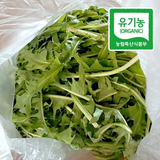 국내산 쌈채소 유기농 생 토종 흰민들레 생채 생잎, 1개, 200g