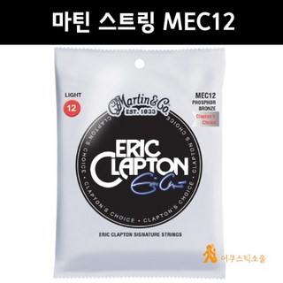 Martin D-13E 완벽 가이드