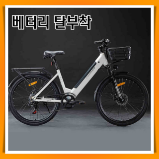 1. 맥스런 배터리분..