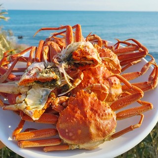 북해도 암컷대게 알배기 활어 대게 1kg 2kg 3kg 살아서 가는 암컷대게 정식수입, 1개
