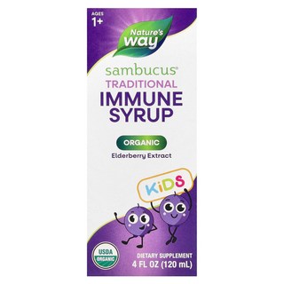 네이처스웨이 어린이 용유기농 전통 시럽 1세 이상 120ml, NWY15797, 1개