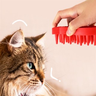 투제이 고양이 실리콘브러시 고양이브러쉬