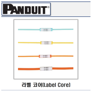 팬듀잇 라벨 코어 사용 모습