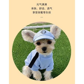 WARMTH 귀여운 고양이 강아지 야구 모자 펫 모자 고양이 강아지 캡 모자 썬캡 자외선 차단 모자 여름 외출, 1개, 블루+강아지