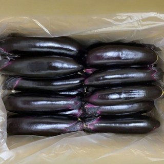 시온마켓 국내산 못난이 가지, 1박스, 5kg ( 못난이가지 초특가 )