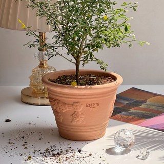 앙비까사 매화토분, 피치