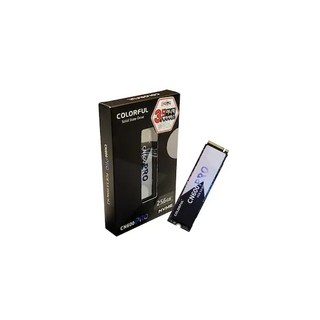 컬러풀 CN600 프로 M.2 NVMe