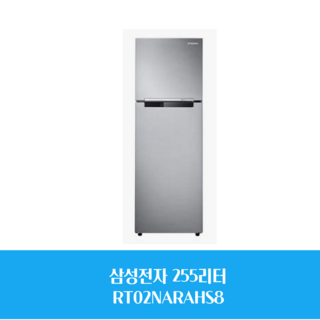 삼성 G일반냉장고 RT25NARAHS8