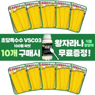 산들마켓 초당옥수수 씨앗 100립 생식용 초당 옥수수씨 종자 10개 + 왕자라나 500ml 1개