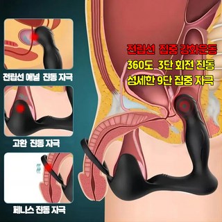 해빙펀 360도 풀회전 듀얼모터 전립선 강화 마사지 바이브레이터 + 3단계 풀회전 진동 + 9단계 스피드 진동 + 전립선 및 회음부에 밀착되는 인체공학적인 디자인, 1개, 블랙 대표 이미지 - 항문 기구 추천