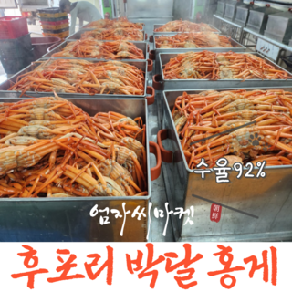 [엄자씨마켓] 수율92% 후포리 박달홍게 맛보장 특대 사이즈, 1박스, 4kg