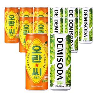 오란씨 250ml 오렌지 + 데미소다 250ml 청포도 혼합 12입