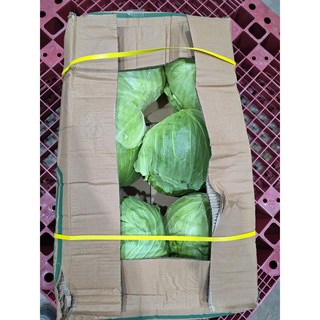 수입 양배추 15kg