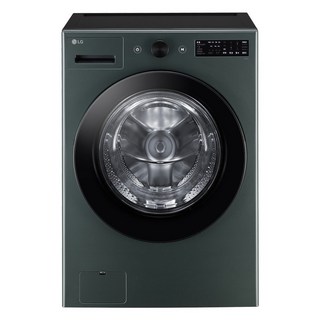 LG전자 트롬 AI 세탁기 19kg 1등급 인버터, FG19GN