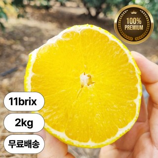 [11브릭스] 제주 직배송 고당도 햇 황금향 제철과일, 1박스, 2kg