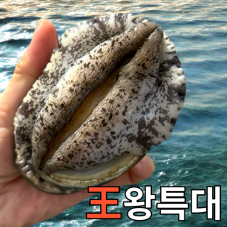 완도전복 왕특대 직거래 산지직송 산소포장 선물 세트, 1박스, 1kg(왕특대 8-9미 )