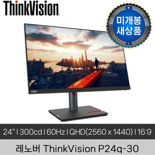 레노버 QHD 모니터