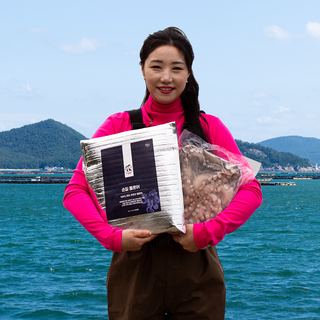 자연산 완도 손질 돌문어 1kg 제수용 숙회 손질 문어 급랭 참문어, 1개, 1~1.3kg(2-3마리)