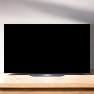 LG 올레드 TV OLED55B2ENA