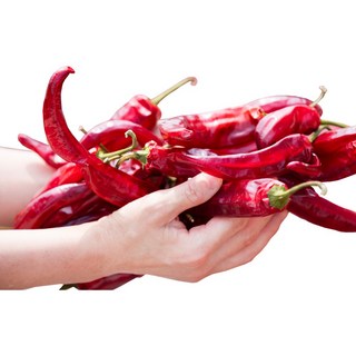 백양 국산 건고추 100% 태양초 명품 햇 고춧가루 보통매운맛, 2개, 1kg