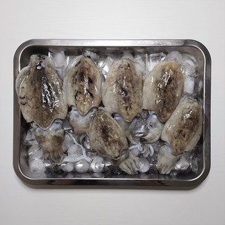 엄지척수산물] 국내산 손질 활(냉동) 갑오징어(생물), 1박스, 1kg 중대(1팩)