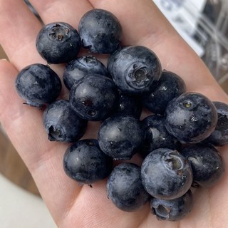 블루베리 생블루베리 125g 2팩, 1개