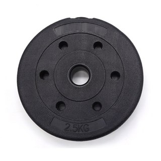 바벨 원판 중량 역기 플레이트 PVC, 1개, 2.5kg