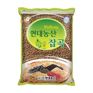 현대농산 갈색렌틸콩 렌즈콩 1kg, 1개