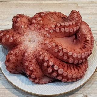 [동이마켓] 맛있는 대왕 사이즈 자숙 문어 참문어, 1개, 1kg