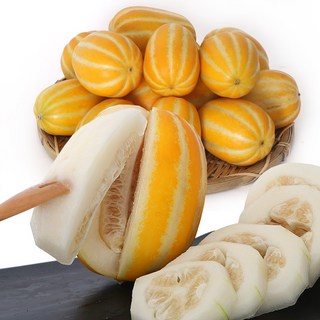 성주 꿀 참외 당도 보장 산지직송 5kg, 1박스, 성주참외 5kg 랜덤
