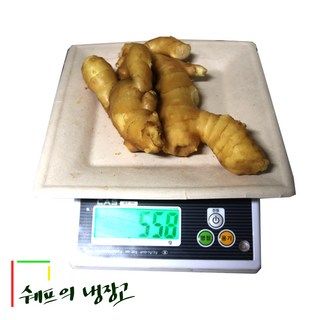 500g 세척생강 중국산생강 수입생강식당 대강 업소용 급식 도매 수입세척생강